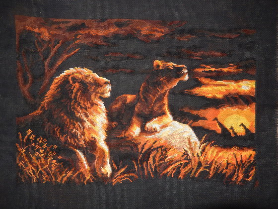 Работа «Львы в саванне.. Риолис»