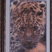 Работа «леопард»