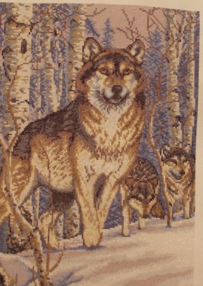 Работа «№28219»