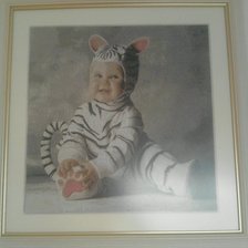 Работа «Тигреня»