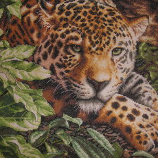 Работа «Леопард на отдыхе»