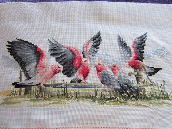 Работа «Попугаи Гла»