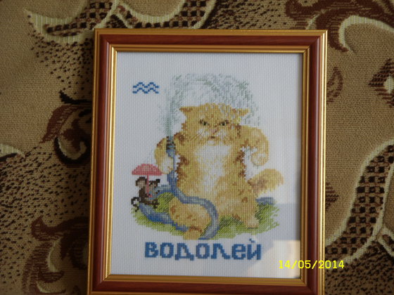 Работа «Водолей.»