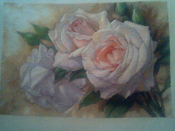 Работа «белые розы»