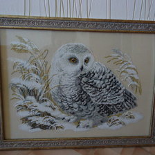 Работа «"Сова", шерсть»
