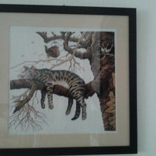 Работа «устал»