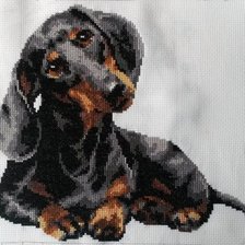 Работа «такса»