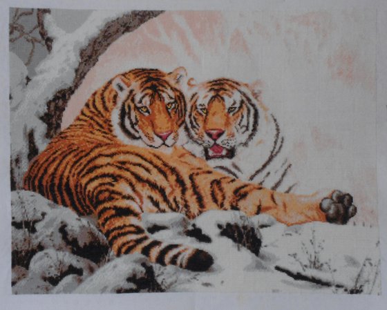 Работа «Тигры»