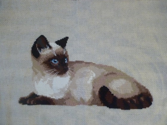 Работа «сиамская кошка»