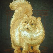 Работа «Котик»