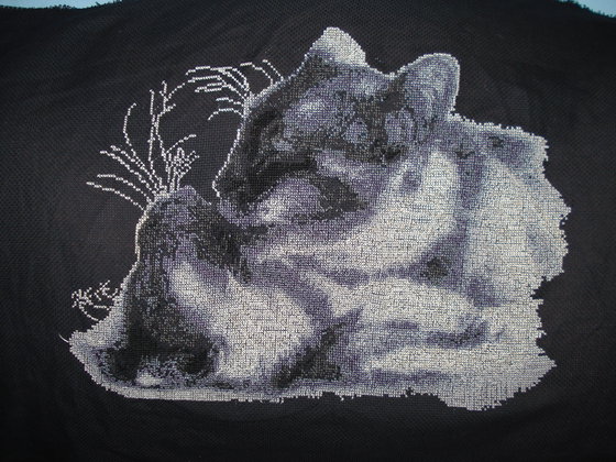 Работа «кошачья любовь»