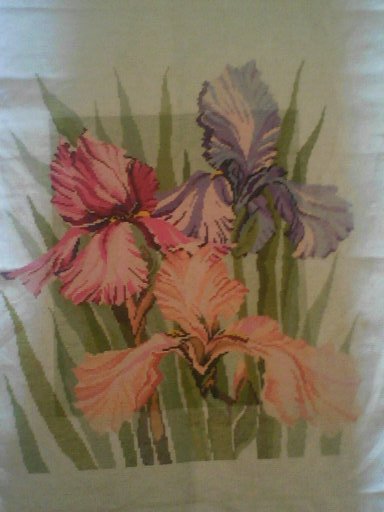 Работа «ирисы»