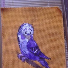 Работа «Попугай»