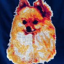 Работа «Шпиц»