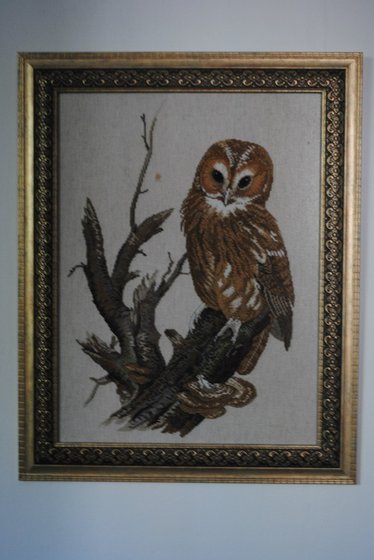 Работа «Сова»