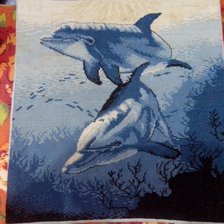 Работа «Влюбленные дельфины»