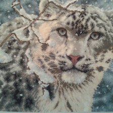 Работа «снежный барс»