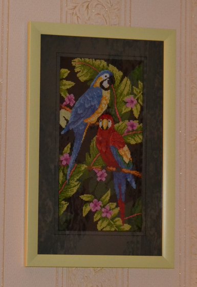 Работа «Тропические птицы»