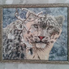 Работа «№31325»