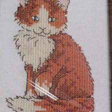 Работа «Котик»