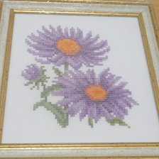 Работа «Астры»