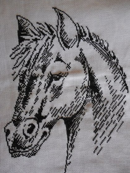 Работа «Лошадка монохром»