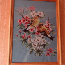 Работа «№31656»