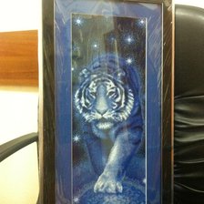 Работа «Идущий по звездам»