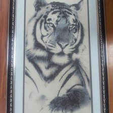 Работа «Тигр»