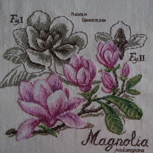 Работа «магнолия»