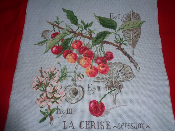 Работа «"Черешня" Ботаника»