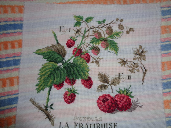 Работа «"Малина" Ботаника»