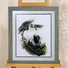 Работа «Аисты. Выкладываю более удачное фото.»