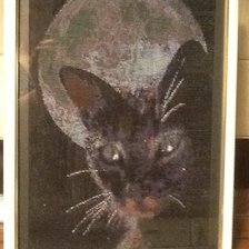 Работа «Космический кот»