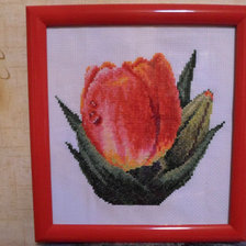 Работа «ТЮЛЬПАН»