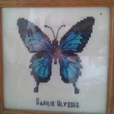 Работа «Бабочка1»