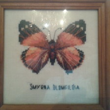 Работа «Бабочка2»