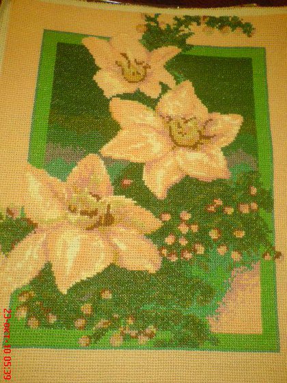 Работа «нарцысы»