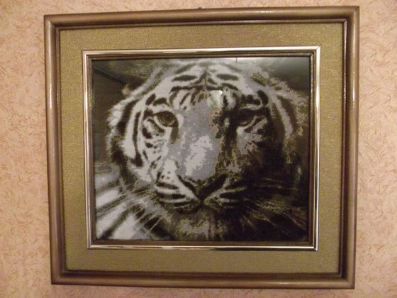 Работа «бенгальский тигр»