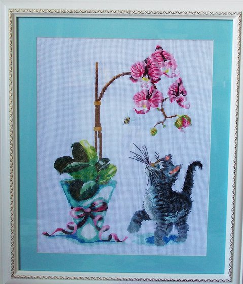 Работа «Орхидея и котенок»