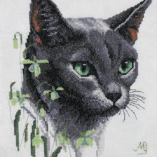 Работа «Зеленоглазый кот»