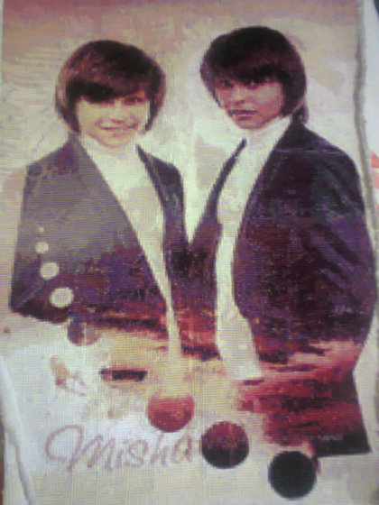 Работа «Misha»