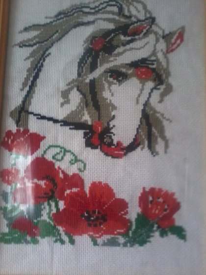 Работа «лошадь в маках»