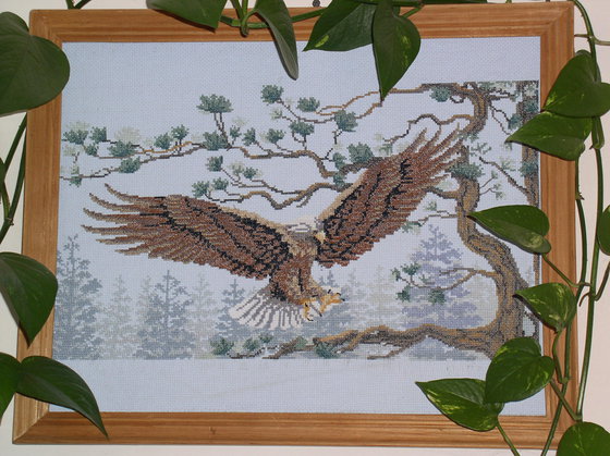 Работа «Орёл»