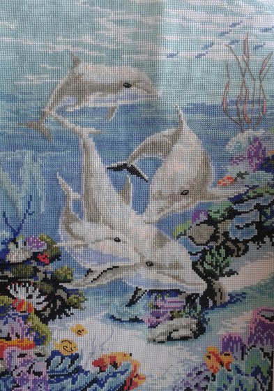 Работа «дельфины»