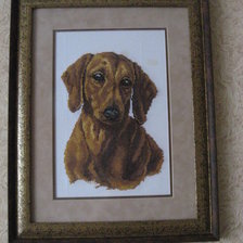 Работа «"Такса" от Алисы. Размер 18*25. Вышивала ровно месяц.»