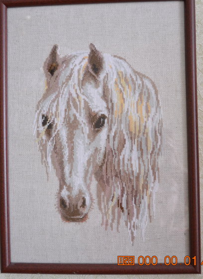 Работа «Луна.»