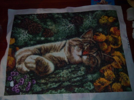 Работа «котик»