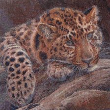 Работа «Леопард»
