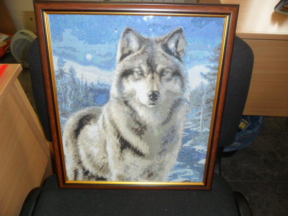 Работа «Волчонок»